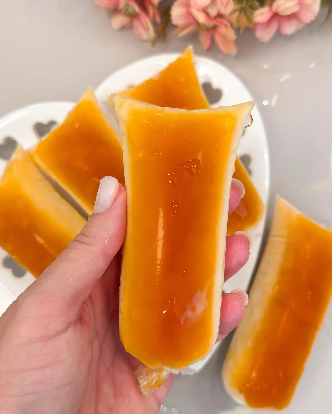 Guia Geladinho de Pudim (R$197)